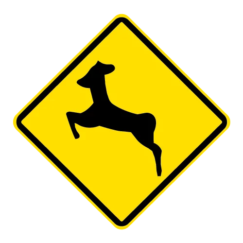ANIMALES INDÓMITOS PO - 6