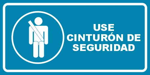 Use cinturón de seguridad